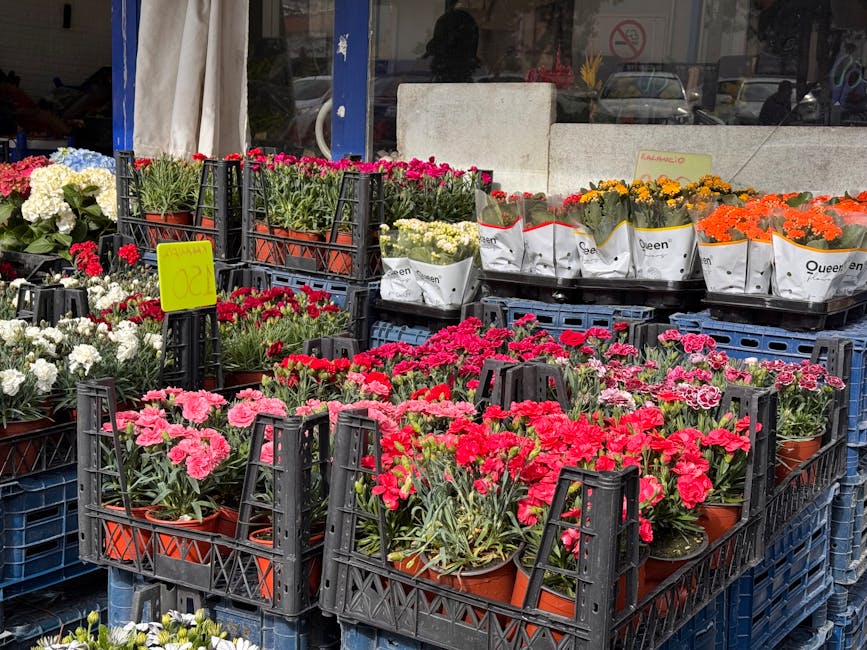 A display of potted flowering plants arranged in black plastic crates outside a flower shop. The plants include bright pink, red, orange, yellow, white, and purple blooms, with some wrapped in white p