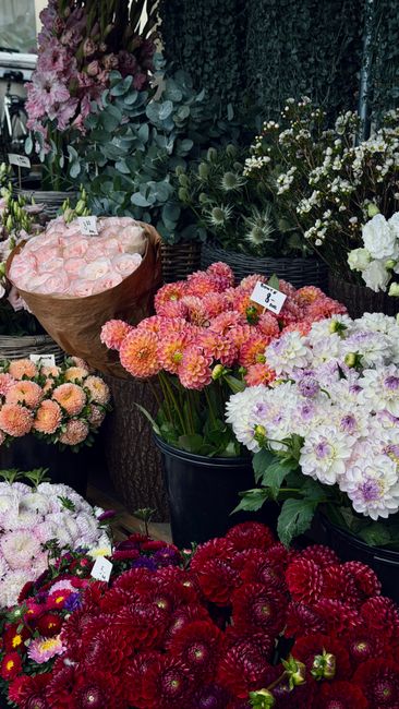 A vibrant display of fresh flowers arranged in varied buckets and bouquets at a floral shop, likely Chalk Farm Flowers near Camden Market. Prominent among them are soft pink roses wrapped in light bro